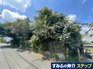 ls搼쓇yn