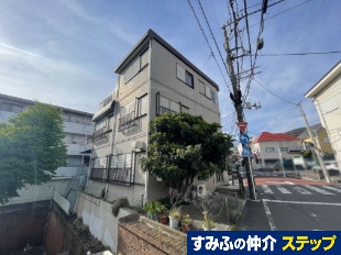 lsPuˌ