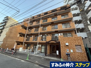 �_�C�A�p���X�g�쒬���