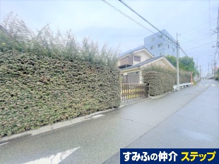 qs茴yn