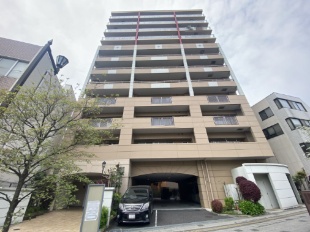 �N�C�[���V�e�B�L�c�������̋u