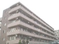 NVIac