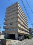 tHXg쒬c