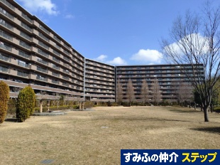 ���j���F���V�I�[���w���̋u