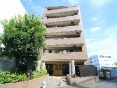 NZ}V쒬c