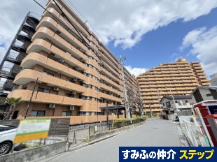 ���C�I���Y�v���U��{