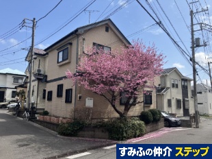 ���R�s�������R���ڌˌ�