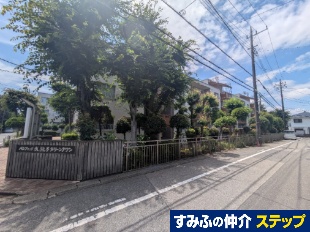 pVtBbN䑷qO[^EP