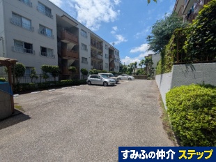 pVtBbN䑷qO[^EPS