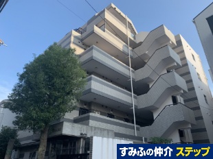 NbZg