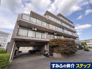 ���C�I���Y�}���V�����o�ː�