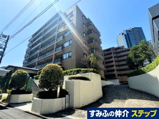 �p�[�N�E�n�C��������