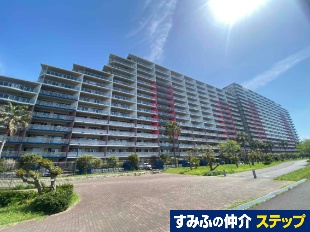 �p�[�N�V�e�B�O�����f�V�Y�����o�[�p���X