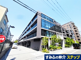 �V�e�B�e���X����