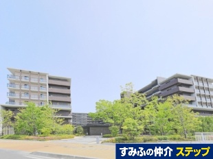 VeBeX