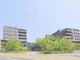 VeBeX