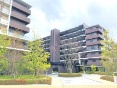 VeBeX