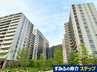 �V�e�B�e���X�����@�b��