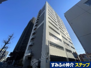 �R�A�}���V�������A�[���A�R�[�g