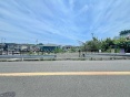s厚yn