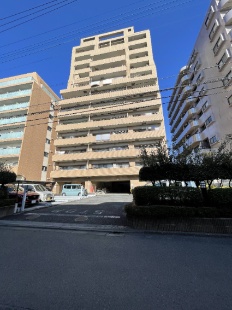 ���A�R�[�g���򂭂��̂���