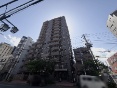 ���C�I���Y�X�e�[�V�����v���U���{��