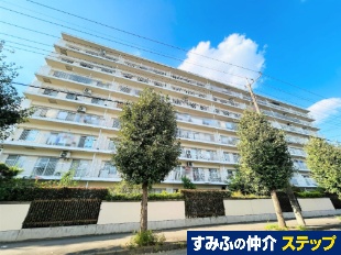 ݂悵ّ݂TCg}Vb