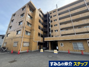 �_�C�A�p���X�˒�