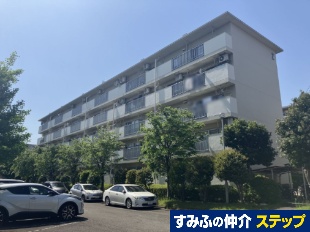 쓇ZQ
