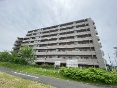 CVg鑽