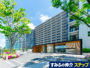 �V�e�B�e���X����