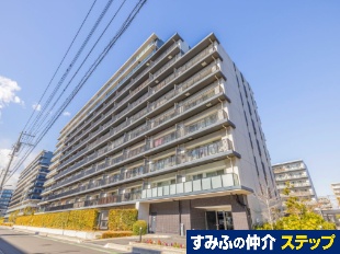 �V�e�B�e���X���������K�[�f���Y