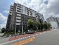 NZcn