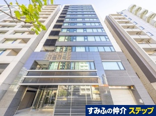 �V�e�B�n�E�X�����w�O�G�A�[�Y�R�[�g