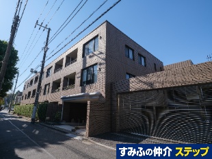 �V�e�B�R�[�g��X��