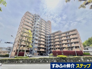 ���C�I���Y�}���V�������w����V