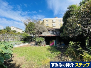 ls悳uyn