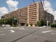 vCVA