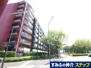 �V�e�B�e���X����