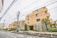 AXg剪