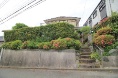 ls`剪Pړyn