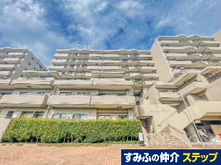 RX剪Tj[ECOa