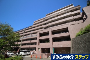 llc