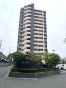 CtsA