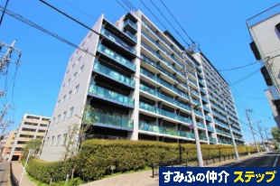 �V�e�B�e���X����