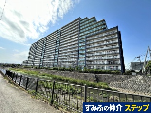 �p�[�N�X�N�G�A�Ó슝����