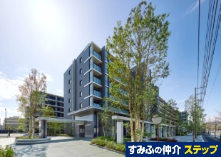 �V�e�B�e���X�Ó약��