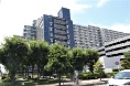 p[NXNGAÓ슝