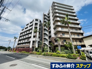 ���C�I���Y�N�I�[�������}�[�N�X�t�H�[�g