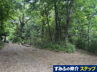 qsJ쒬yn